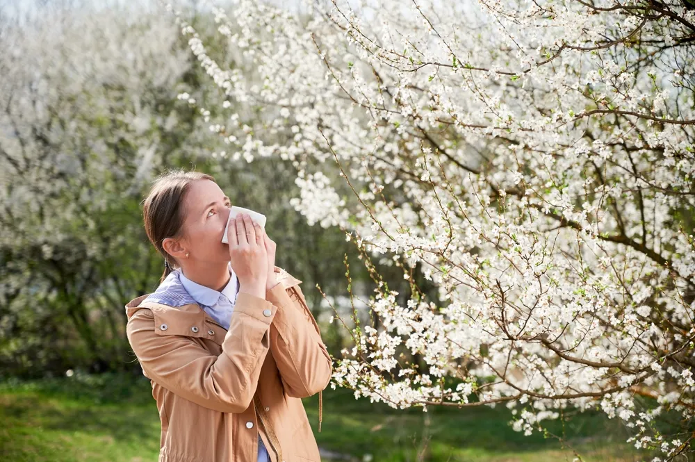 Аллергия на пыльцу может перерасти в серьёзное заболевание, предупредила врач